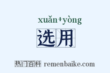 选用是什么意思的图片